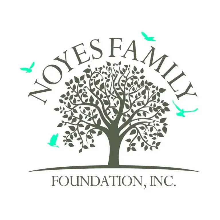 Noyes family foundation, inc. (1)