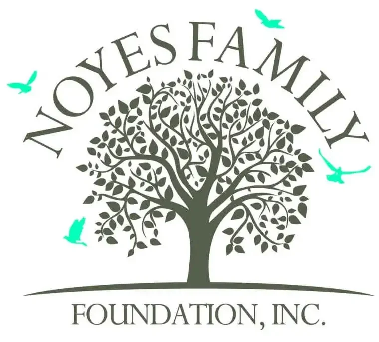 Noyes family foundation, inc. (1)